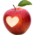 86CDE28D25ABB06DD35B5B2FBEDFE98B_0