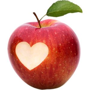 86CDE28D25ABB06DD35B5B2FBEDFE98B_0