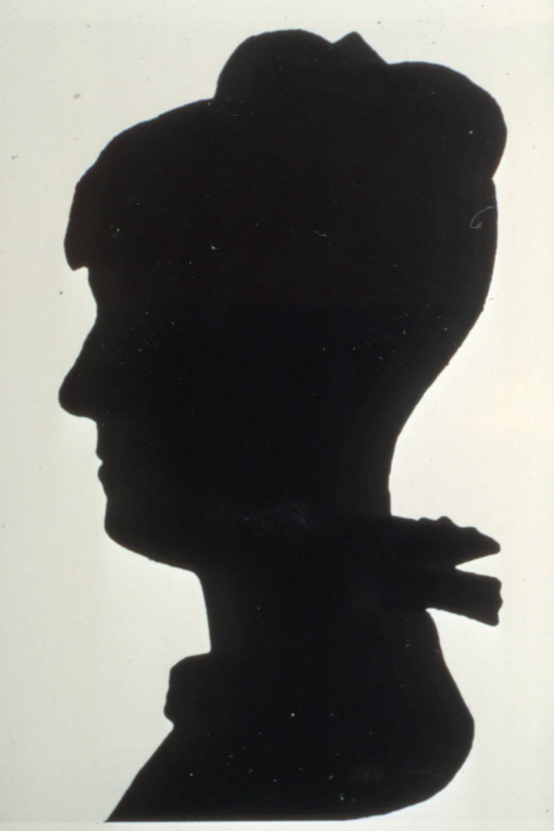 ann simpson davis silhouette